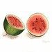 Watermelon Painting - Original Watercolor Still Life