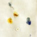 Spring Meditation Drawing no.7 / Mixed Media on Japanese Paper
