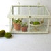 Vintage Terrarium Glass and Metal