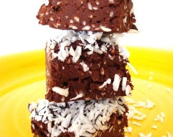 No Sugar Added Fudge - Coconut Fudge - No Sugar Added - Chocolate Coconut - Organic Agave Nectar - Pernilla's Fudge