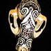 Henna Mehndi painted Raccoon Skull Black and Copper Acrylic