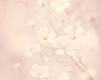 Pretty delicate white flowers-flower photography - flower photo- cottage garden (5 x 7 Original fine art photography prints) FREE Shipping