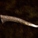 Elk Tine - Grade A, Real Bone, Antler, Taxidermy, A55612