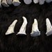 SALE - x4 Deer Antler Tips - Grade A, Real Bone, Antler, Taxidermy, A86291