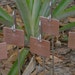 Copper Garden Markers - Set Of Five - Garden Friends Motif - Custom Hand Stamped