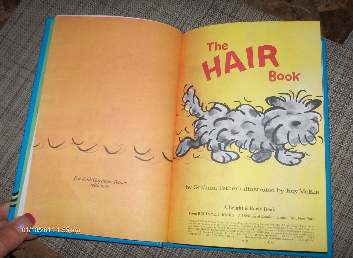 Blue Hair in Dr. Seuss's Books - wide 5