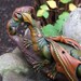 Fantasy dragon sculpture
