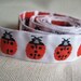 LADYBUG ribbon