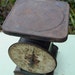 Antique Hanson Bros Scale-24lbs