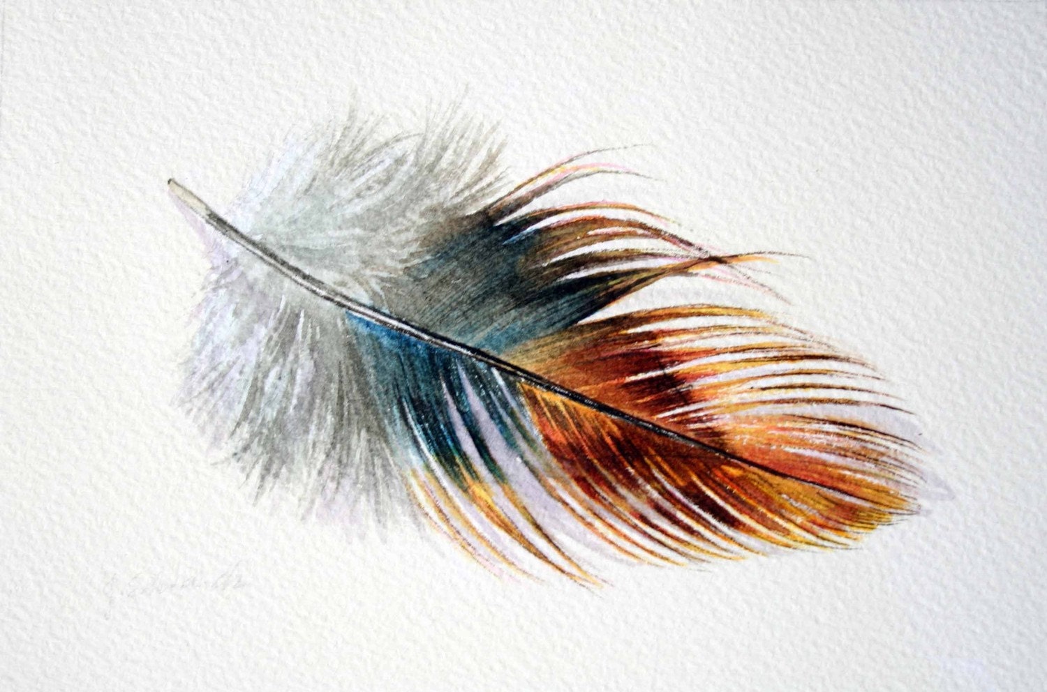 feather 147 phoenix rooster feather original watercolour feather 147 phoenix rooster feather original watercolour