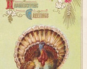 Vintage Thanksgiving Post Card Early 1900s tg008