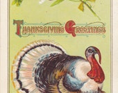 Vintage Thanksgiving Post Card Early 1900s tg011