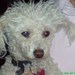 Chely