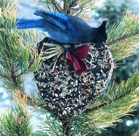 wild bird seed feeder big heart organic wreath wild bird seed feeder big heart organic wreath
