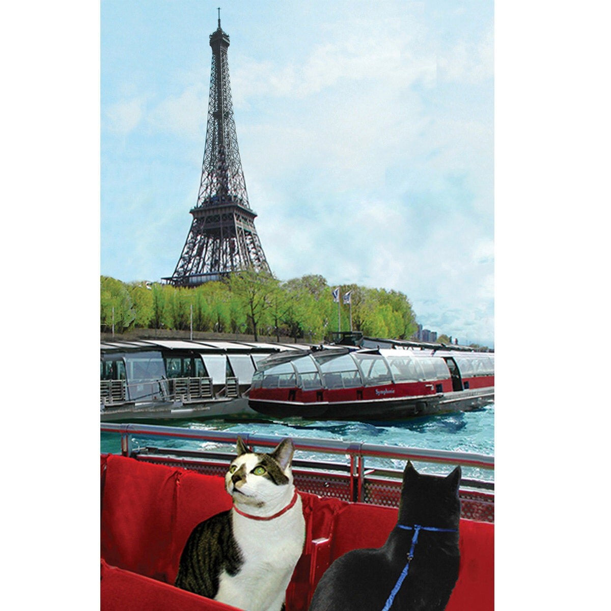 Cat Art Print Paris France Cat Wall Art Eiffel Tower Wall