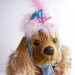 Marie Antoinette Dog Hat, Pink and Teal, Small Toy Dog, Dog Party Hat, Female, Fancy
