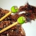 Bamboo Knitting Needles Handmade One of a Kind By Lisajoy Sachs Apple Green Raku Lampwork Glass Balls