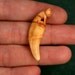 Real Antique Indian 'Tiger' Tooth Pendant