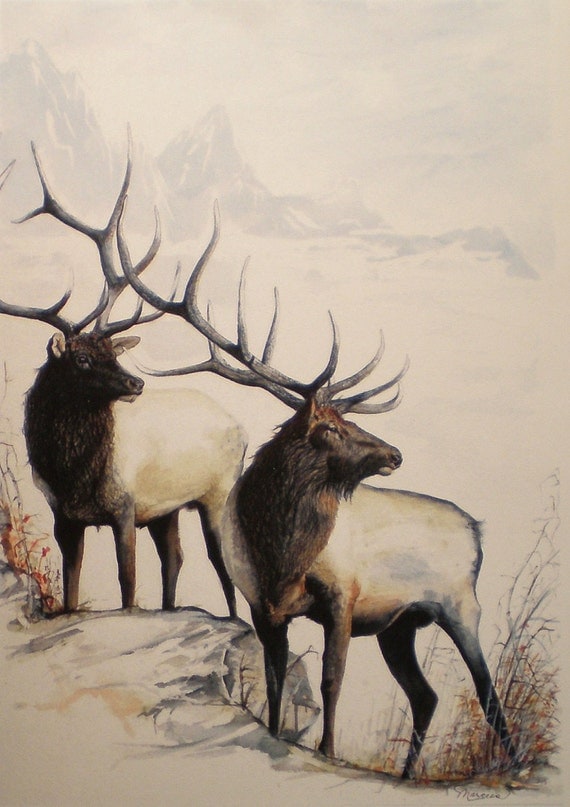 Hunting Picture Art Greeting Card Elk Watercolor Wildlife