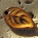 Amber Dust Gold Leaf Charm