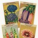 Vintage French Flower Packet Labels 24 Different - Set 2