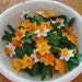 3d Crochet Daffodil Flower Pattern