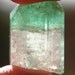 Minty Fresh Green Tourmaline Tri Colored Crystal Specimen with Dome Termination