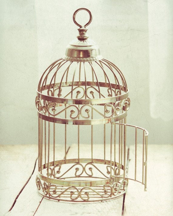 Items similar to Flying Free open birdcage 8x10 photograph. Pale aqua