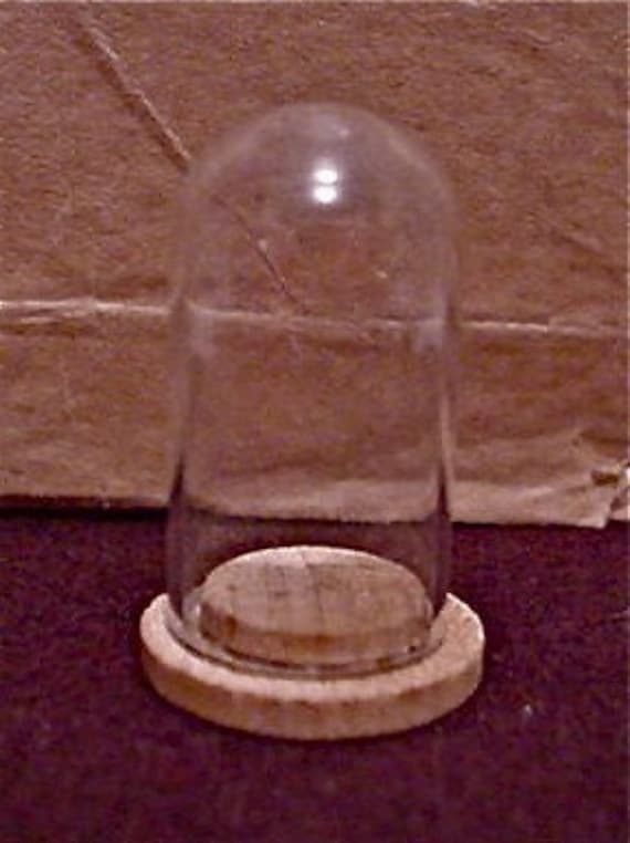 Large Miniature Glass Dome With Wood Base Approx 1 3/8 Inch