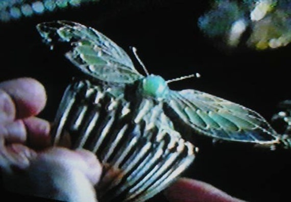 Hair Comb Titanic Replica Butterfly Hair Comb FREE WORLDWIDE