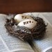 Ivory eggs in a dark brown nest 4 inch