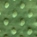 Olive Dot Minky (Minkee), Oh So Soft by Avlyn, 1 1/2 yards