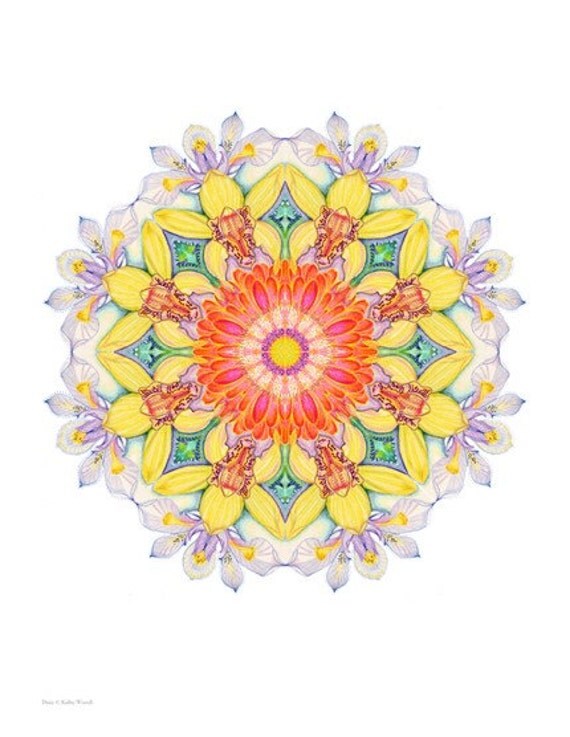 Daisy Mandala Unmatted Print