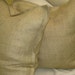 Pair of Tailored Euro Shams in Burlap
