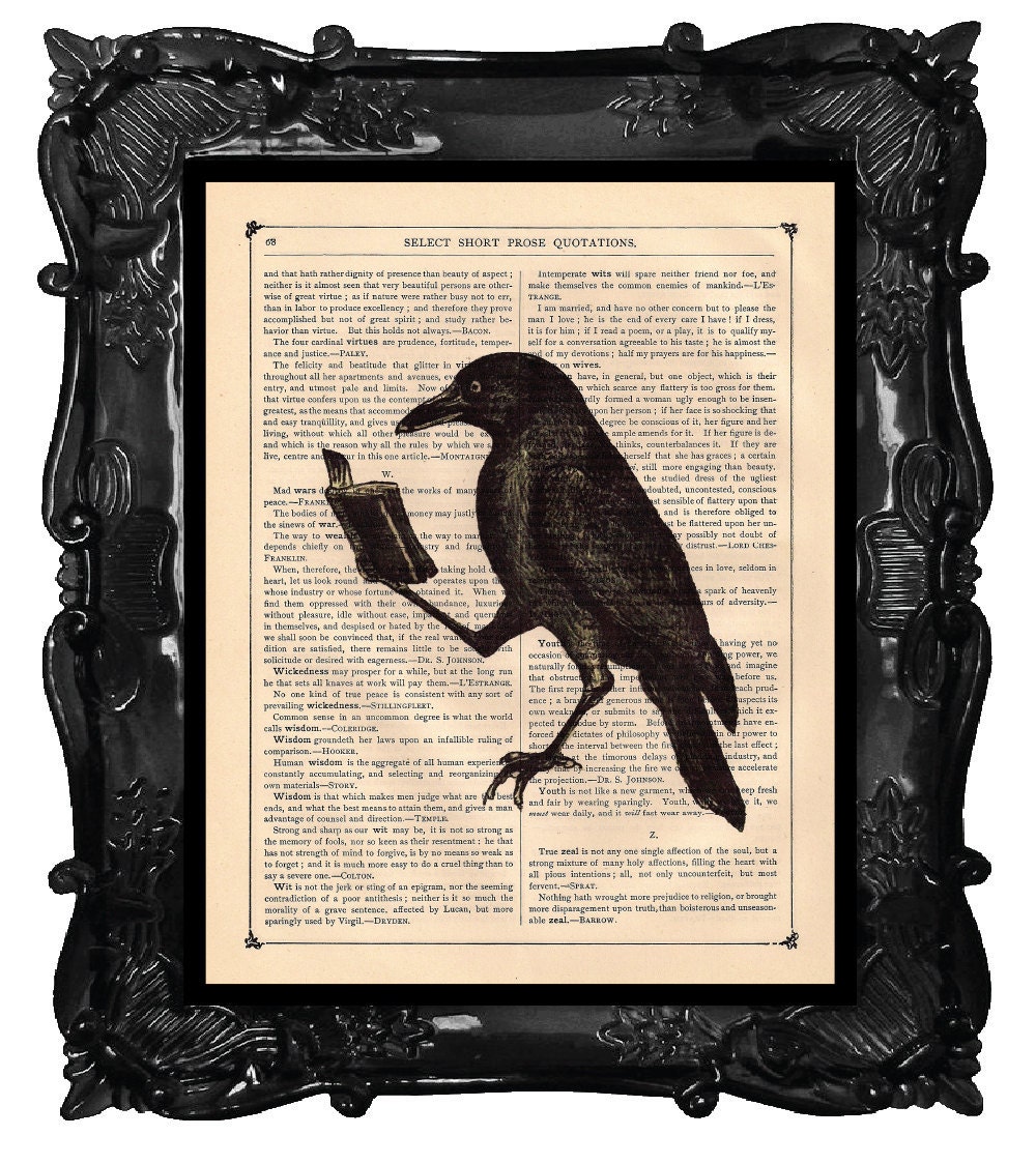 Crow Art Print A Crow Reading A Book Raven Art By Blackbaroque 7085