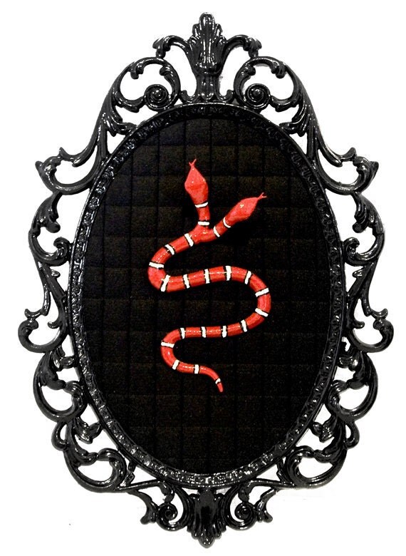 Two Headed Snake Victorian Framed Object Wall Art Decor