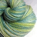 Handspun Yarn Thick and Thin Single Blue Faced Leicester 'June'