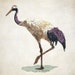 Japanese Crane