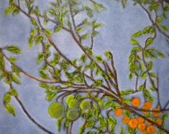 Citrus Branches Orginal Oil Painting - Framed
