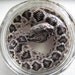 Cruelty Free - Specimen - Rattlesnake Rattler Wet Spirit Specimen Reptile Herp - Taxidermy Religious Educational Magic Spell Curio Biology