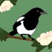 SouthernMagpie