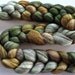 BFL Combed Top 4 Oz. Earth Tones - "Moss"