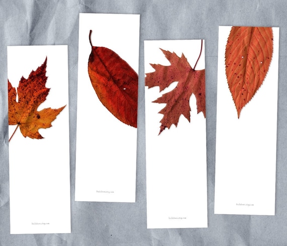 red leaves photography printable bookmark set of 4 DIY