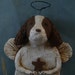 Springer Spaniel Angel OOAK hand-sculpted from papier mache, Brown and White SPRINGER