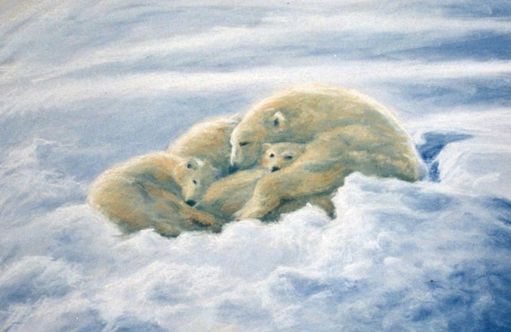 Asleep in the Snow, Polar Bear Family, Giclee