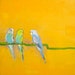 Let's Talk- 12x12 Original Oil Painting on Canvas- Bird, Orange, Parakeet