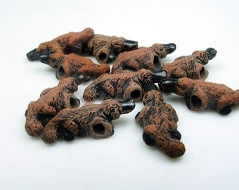 Duckbill Platypus Duckbill Platypus