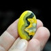 Bumble Bee Jasper from Indonesia