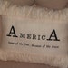 AmericA - Home of the Free Because of the Brave Pillow