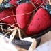 Primitive Red Strawberries in a Colander